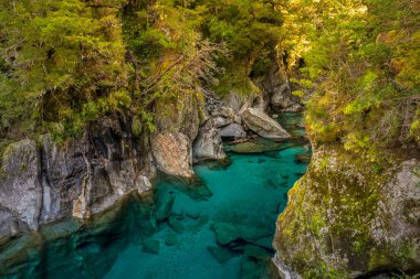 Mavi havuzları Haast geçişinde en ünlü cazibe olduğunu. Yeni Zelanda South Island'da bulunan. Mavi havuzu parça devlet karayolu 6, Haast Pass Mount Aspiring Milli Parkı'nda kısa bir yürüyüş mesafesindedir