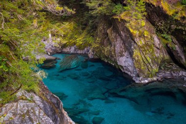Mavi havuzları Haast geçişinde en ünlü cazibe olduğunu. Yeni Zelanda South Island'da bulunan. Mavi havuzu parça devlet karayolu 6, Haast Pass Mount Aspiring Milli Parkı'nda kısa bir yürüyüş mesafesindedir
