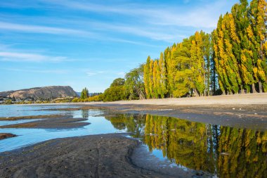 Göl Wanaka öğleden sonra renkli sonbahar yaprak, Wanaka, Yeni Zelanda