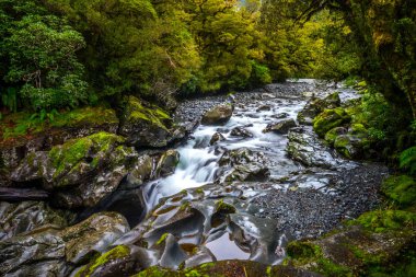 Uçurum Güz, Fiordland Milli Parkı, Milford ses, Yeni Zelanda