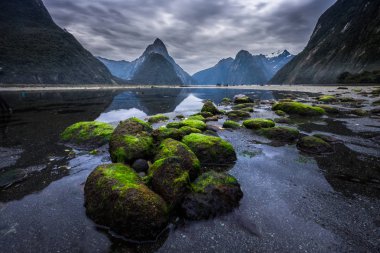 Fiordland Milli Parkı, Yeni Zelanda'nın Güney Adası ünlü bir cazibe Milford ses (Piopiotahi) olduğunu