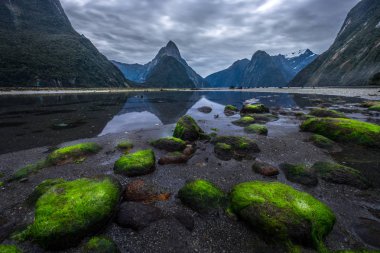 Fiordland Milli Parkı, Yeni Zelanda'nın Güney Adası ünlü bir cazibe Milford ses (Piopiotahi) olduğunu