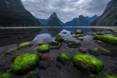Fiordland Milli Parkı, Yeni Zelanda'nın Güney Adası ünlü bir cazibe Milford ses (Piopiotahi) olduğunu