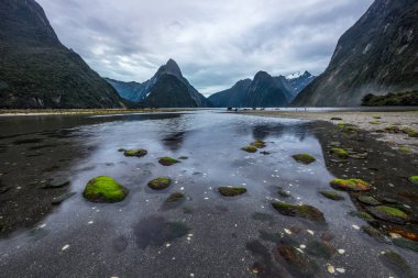 Fiordland Milli Parkı, Yeni Zelanda'nın Güney Adası ünlü bir cazibe Milford ses (Piopiotahi) olduğunu