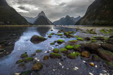 Fiordland Milli Parkı, Yeni Zelanda'nın Güney Adası ünlü bir cazibe Milford ses (Piopiotahi) olduğunu
