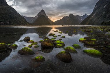 Fiordland Milli Parkı, Yeni Zelanda'nın Güney Adası ünlü bir cazibe Milford ses (Piopiotahi) olduğunu