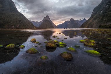 Fiordland Milli Parkı, Yeni Zelanda'nın Güney Adası ünlü bir cazibe Milford ses (Piopiotahi) olduğunu