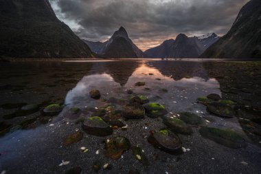 Fiordland Milli Parkı, Yeni Zelanda'nın Güney Adası ünlü bir cazibe Milford ses (Piopiotahi) olduğunu