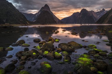 Fiordland Milli Parkı, Yeni Zelanda'nın Güney Adası ünlü bir cazibe Milford ses (Piopiotahi) olduğunu
