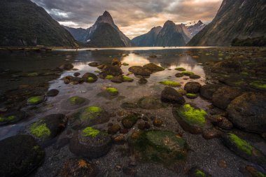 Fiordland Milli Parkı, Yeni Zelanda'nın Güney Adası ünlü bir cazibe Milford ses (Piopiotahi) olduğunu