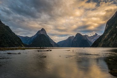 Fiordland Milli Parkı, Yeni Zelanda'nın Güney Adası ünlü bir cazibe Milford ses (Piopiotahi) olduğunu