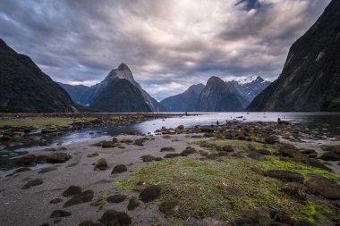 Fiordland Milli Parkı, Yeni Zelanda'nın Güney Adası ünlü bir cazibe Milford ses (Piopiotahi) olduğunu