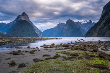 Fiordland Milli Parkı, Yeni Zelanda'nın Güney Adası ünlü bir cazibe Milford ses (Piopiotahi) olduğunu