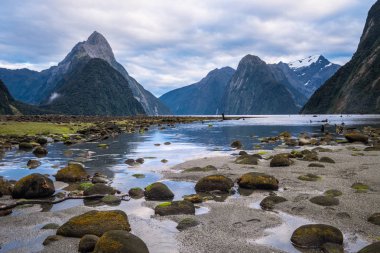 Fiordland Milli Parkı, Yeni Zelanda'nın Güney Adası ünlü bir cazibe Milford ses (Piopiotahi) olduğunu