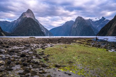 Fiordland Milli Parkı, Yeni Zelanda'nın Güney Adası ünlü bir cazibe Milford ses (Piopiotahi) olduğunu