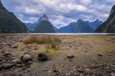 Fiordland Milli Parkı, Yeni Zelanda'nın Güney Adası ünlü bir cazibe Milford ses (Piopiotahi) olduğunu