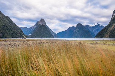 Fiordland Milli Parkı, Yeni Zelanda'nın Güney Adası ünlü bir cazibe Milford ses (Piopiotahi) olduğunu