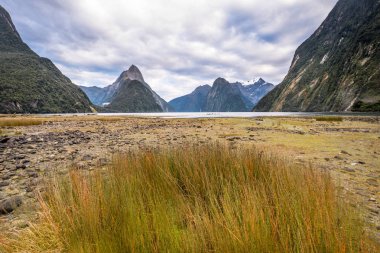 Fiordland Milli Parkı, Yeni Zelanda'nın Güney Adası ünlü bir cazibe Milford ses (Piopiotahi) olduğunu