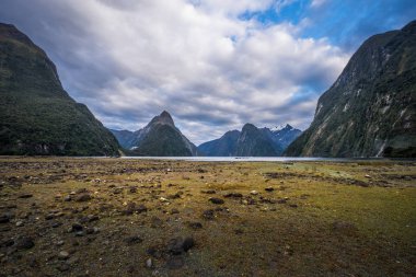 Fiordland Milli Parkı, Yeni Zelanda'nın Güney Adası ünlü bir cazibe Milford ses (Piopiotahi) olduğunu