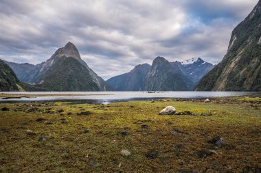 Fiordland Milli Parkı, Yeni Zelanda'nın Güney Adası ünlü bir cazibe Milford ses (Piopiotahi) olduğunu