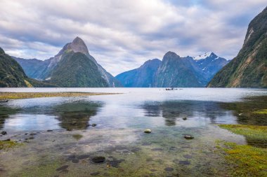Fiordland Milli Parkı, Yeni Zelanda'nın Güney Adası ünlü bir cazibe Milford ses (Piopiotahi) olduğunu