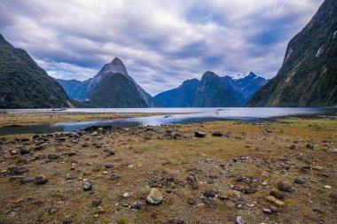 Fiordland Milli Parkı, Yeni Zelanda'nın Güney Adası ünlü bir cazibe Milford ses (Piopiotahi) olduğunu