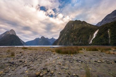 Fiordland Milli Parkı, Yeni Zelanda'nın Güney Adası ünlü bir cazibe Milford ses (Piopiotahi) olduğunu