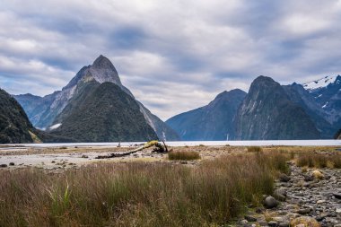 Fiordland Milli Parkı, Yeni Zelanda'nın Güney Adası ünlü bir cazibe Milford ses (Piopiotahi) olduğunu