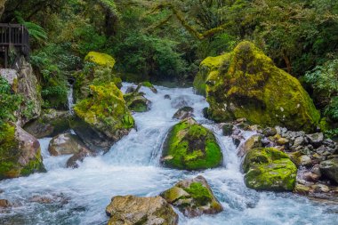 Fiordland Milli Parkı, Milford ses, Yeni Zelanda yer Gölü Marian Güz