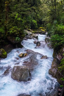 Fiordland Milli Parkı, Milford ses, Yeni Zelanda yer Gölü Marian Güz