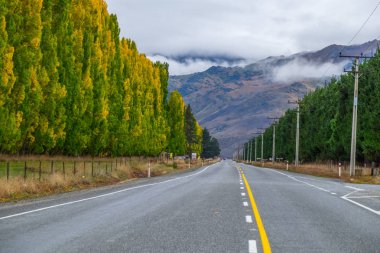 Yanında Landscpae devlet karayolu 6 arasında Queenstown ve Twizel, South Island, Yeni Zelanda