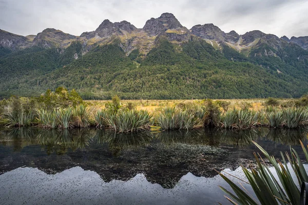 Lago Espejo Famosa Atracción Milford Sound Parque Nacional Fiordland Nueva —  Fotos de Stock