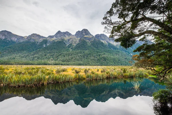 Mirror Lake Famous Attraction Milford Sound Fiordland National Park New — Stock Photo, Image