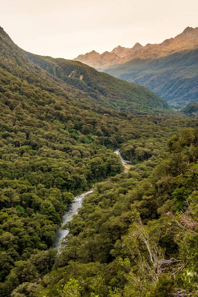 Paisagem Longo Rodovia Milford Sound Fiordland National Park Nova Zelândia — Fotografia de Stock