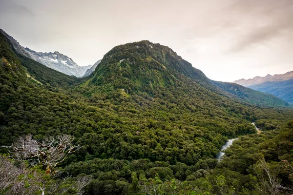 ミルフォード サウンドは フィヨルドランド国立公園 ニュージーランドを高速道路沿いの風景します — ストック写真