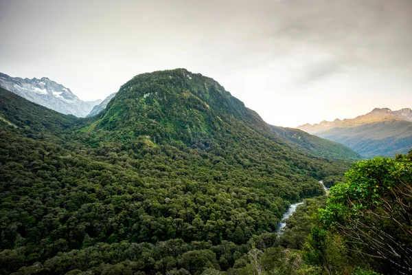 Krajobraz Wzdłuż Autostrady Milford Sound Fiordland National Park Nowa Zelandia — Zdjęcie stockowe