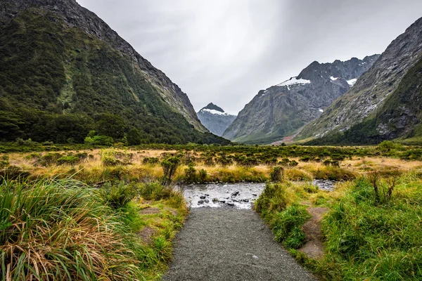 Krajina Kolem Monkey Creek Milford Sound Nový Zéland — Stock fotografie