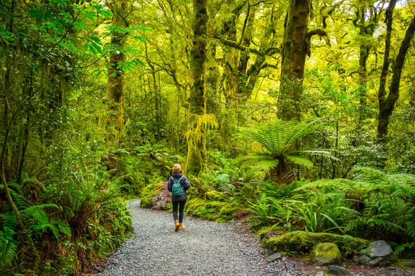 Track Chasm Fall Parque Nacional Fiordland Milford Sound Nueva Zelanda —  Fotos de Stock