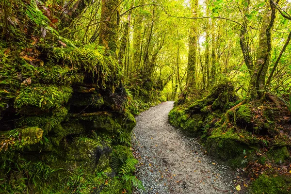 Uçurum Güz, Fiordland Milli Parkı, Milford ses, Yeni Zelanda, izlemek