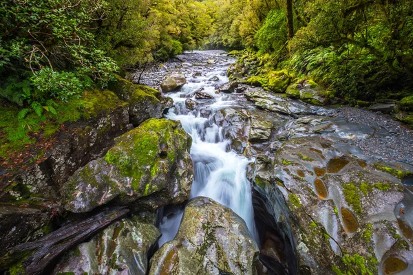 Chasm Fall Fiordland National Park Milford Sound Nouvelle Zélande — Photo