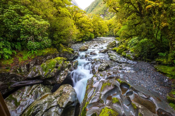 Chasm Fall Fiordland National Park Milford Sound Новая Зеландия — стоковое фото