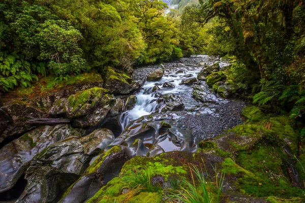 Caída Del Chasis Parque Nacional Fiordland Milford Sound Nueva Zelanda —  Fotos de Stock