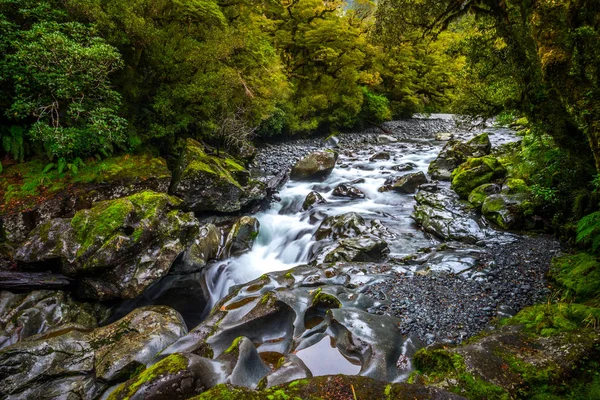 Chasm Fall Fiordland National Park Milford Sound Nouvelle Zélande — Photo