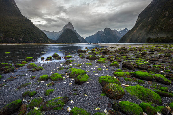 Milford Sound (Piopiotahi) is a famous attraction in the Fiordland National Park, New Zealand's South Island
