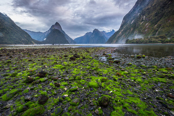 Milford Sound (Piopiotahi) is a famous attraction in the Fiordland National Park, New Zealand's South Island