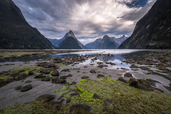 Milford Sound (Piopiotahi) is a famous attraction in the Fiordland National Park, New Zealand's South Island