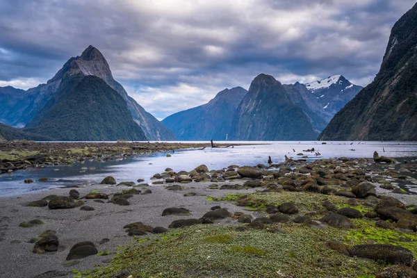 Fiordland Milli Parkı, Yeni Zelanda'nın Güney Adası ünlü bir cazibe Milford ses (Piopiotahi) olduğunu