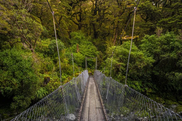 Pista Lago Marian Caída Situada Parque Nacional Fiordland Milford Sonido —  Fotos de Stock