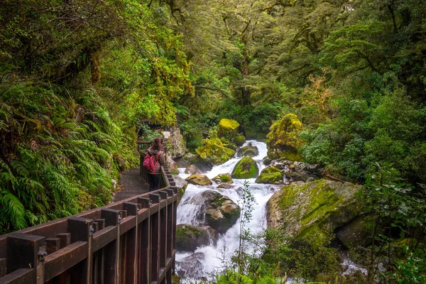 Chute Lac Marian Dans Parc National Fiordland Milford Sound Nouvelle — Photo