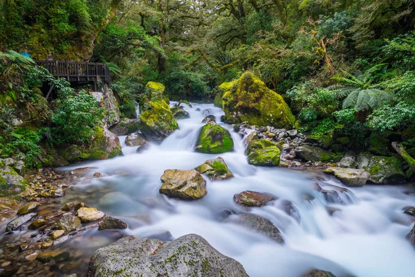 Chute Lac Marian Dans Parc National Fiordland Milford Sound Nouvelle — Photo